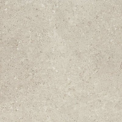 Dignitary Notable Beige DR09